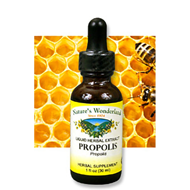 Propolis Liquid Extract, 1 fl oz / 30 ml (Nature's Wonderland)
