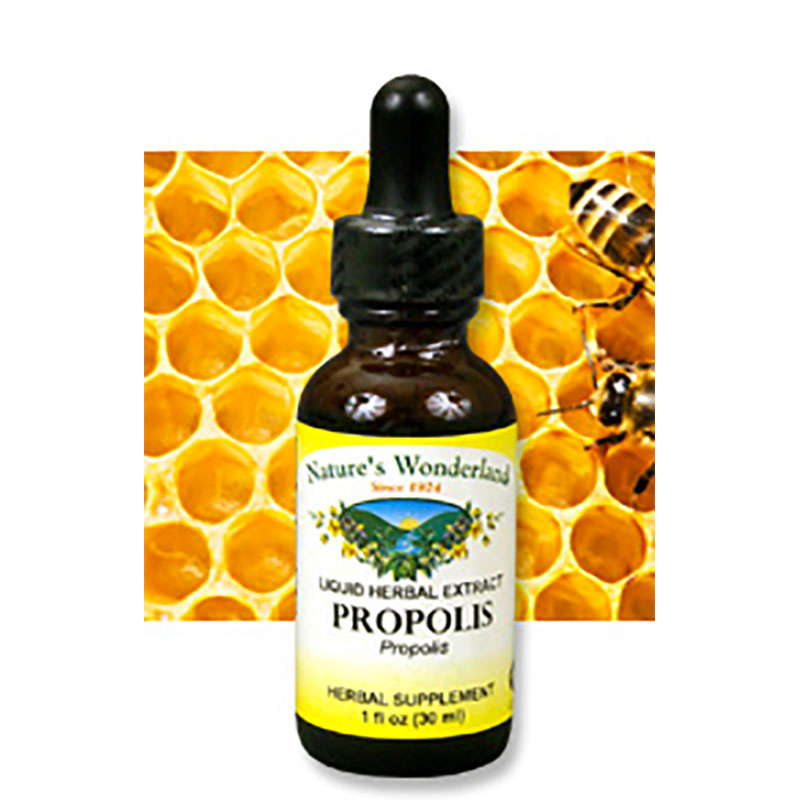 Propolis Liquid Extract, 1 fl oz / 30 ml (Nature's Wonderland)