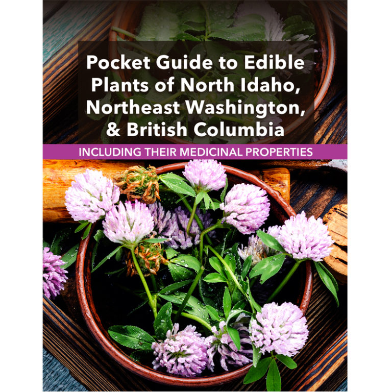 Pocket Guide to Edible Plants Homeward Publishing Ministries